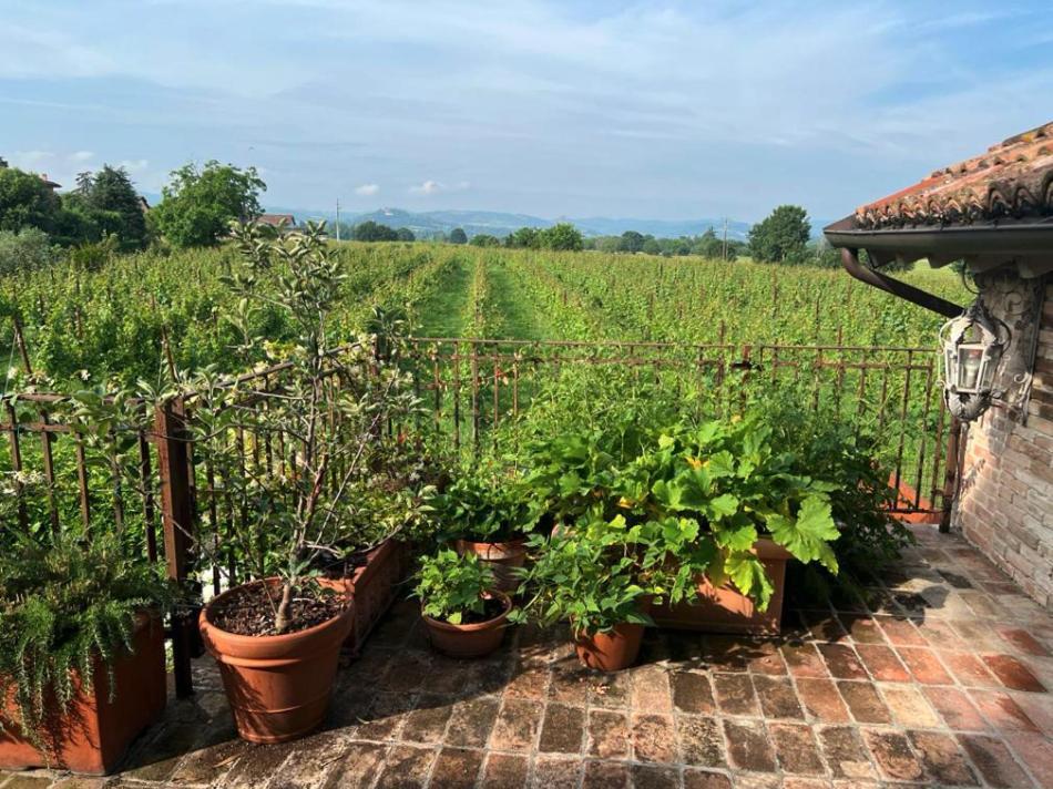 Apartment Casale Hortensia